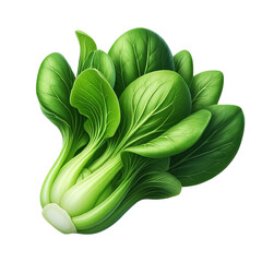 Wall Mural - Fresh bok choy isolated on transparent background