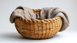 basket on a white background,
A wicker basket is featured in a copy space imag