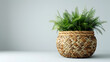 plant in a flowerpot,
A wicker basket is featured in a copy space imag