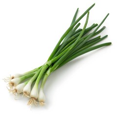 Wall Mural - Green onion isolated on the white background with full depth of field isolated on white background 