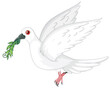 White dove in flight with a green olive branch