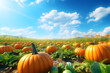 Autumnal, abundance, pumpkins, fall, harvest, seasonal, foliage, orange, leaves, cozy, autumn, gourds, Halloween, Thanksgiving, squash, decorative, farm, October, November, countryside, rustic, tradit