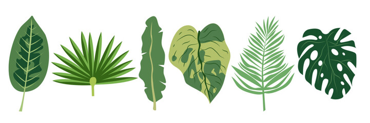 Vector flat cartoon illustration set of tropical leaves isolated on white background. Highly detailed colorful plant collection. Botanical elements for cosmetics, spa, beauty care products , fashion