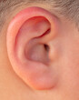 Close-up of a boy's ear. Macro