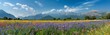 A beautiful field of flowers with a blue sky in the background. The field is full of different colored flowers, including yellow, purple, and orange. The scene is peaceful and serene