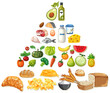 Vector illustration of diverse healthy foods.