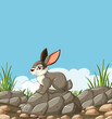 Vector illustration of a rabbit on stones