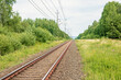 Järnväg med el ledningar genom en grön lövskog på sommaren