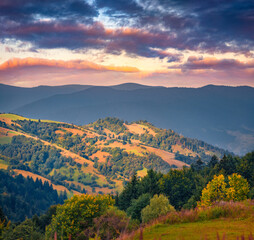 Wall Mural - Long focus picture of Carpathian countryside. Amazing summer view of grassland. Amazing sunrise in Carpathian mountains, Ukraine, Europe. Beauty of countryside concept background.