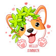 Cute season card in kawaii style. Little corgi puppy with green leaves. Inscription Hello summer. Can be used for t-shirt print, stickers, greeting card design. Vector illustration EPS8