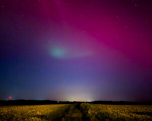 Wall Mural - aurora over the field in the night in germany