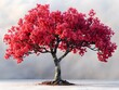 Vibrant Crimson Blossoms of a Flourishing Spring Tree in Serene Natural Landscape