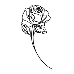 A minimalist, black single line drawing of a rose, white background. rose lineart handrawn vector illustration