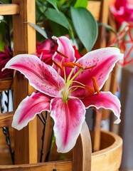 Wall Mural - Blooming Tranquility: Ikebana with Lily Focus