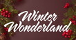 Festive decorations surround white Winter Wonderland text on brown background