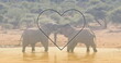 Image of heart over elephants on savanna