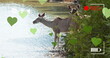 Image of heart and frame over antelopes on savanna