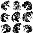 Dynamic Boa Snake Illustrations in Black Ink