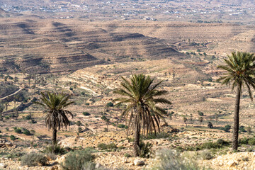 Poster - Dahar, southern Tunisian region, green after the rain