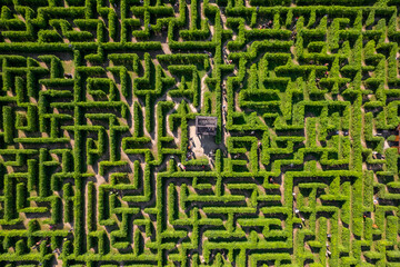 Aerial view of people trying to find exit in a labyrinth garden at sunny day