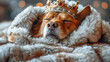 cute dog wearing crown sleeping on fluffy blanket with blur background,