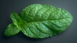 Mint leaf isolated object transparent background,
Young leaves of peppermint
