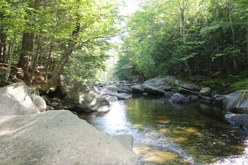 Scenic view of a river flowing through the rocks in a green forest on a sunny day