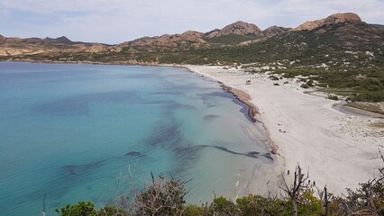 Canvas Print - PALASCA (Corse)