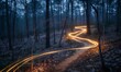 © Svitlana - The streaks of a rider's headlamp make a winding trail through the woods in a long exposure during a mountain bike race in Conyers, Georgia.