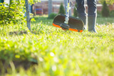 Fototapeta  - worker mows green grass on the lawn with hand trimmer. lawn care. weed control. Woman with gasoline mower cutting grass. Grass trimmer worker, garden work.