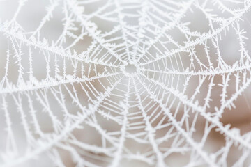 The delicate patterns of frost on a spider web, with its intricate threads and icy crystals.