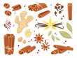 Cartoon dry spices. Cinnamon sticks, allspice peas, cloves and anise stars, fragrant organic seeds, roots, ginger and vanilla, various peppers and bay leaf, culinary condiments, vector set