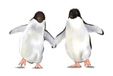 penguin on a white background love ice Penguin Family in Antarctica Snowscape two penguins on a white background