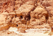 Rock texture in Timna Valley, Israel