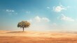 © Galib - Lonely tree in the middle of the desert. The tree is surrounded by sand dunes and there are no other signs of life. The sky is blue with hazy clouds.