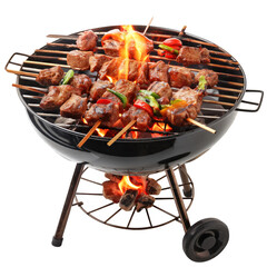 Grilled meat on the grill isolated on transparent white background, clipping path