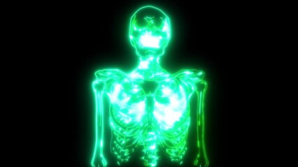 Poster - green Human skeleton in neon style