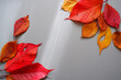 Colorful fallen leaves composition on gray background. Autumnal concept beautiful leaves decoration. 