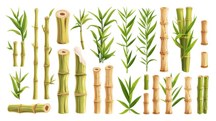 Cartoon Sugar Cane. Set of Different Parts in Simple Flat Style. Isolated Vector Illustrations on White Background. Sugarcane Plant, Stalk, Leaves, and more. Agricultural Icons