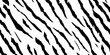 Tribal Hand Texture. Animal Texture. White Abstract Brush. Jungle Vector. Black Stripe Tiger. Line Tropical Background. White Cute Tiger. Tropical Animal Pattern. African Vector Zebra. Stripe Texture