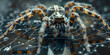A spider entangled its own web. Close up, macro shot. Generative AI,Black scary spider closed up on a dark background
