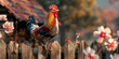 Rooster crows. Big Rooster crowing on the ground of farm,
Hen wild life photography 