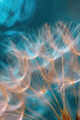 Sticker - close up of dandelion flowers. Selective focus