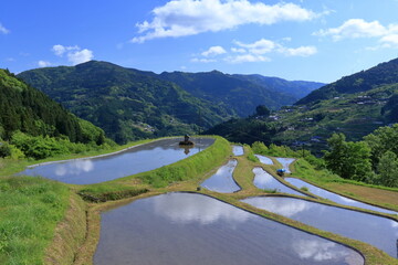 八畝の棚田　水を張る　（高知県　大豊町）