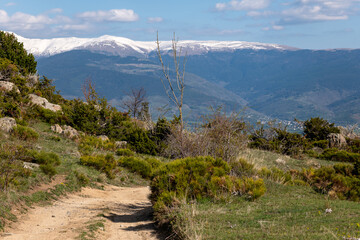 Wall Mural - landscape in the mountains