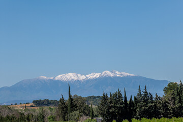 Wall Mural - mount hood state, le canigou