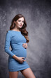 Portrait of young pretty pregnant woman on gray studio background. Female in blue dress with hands near pregnant belly