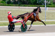 © scatto - Racing horses trots and rider on a track of stadium. Competitions for trotting horse racing. Horses compete in harness racing. Horse runing at the track with rider.