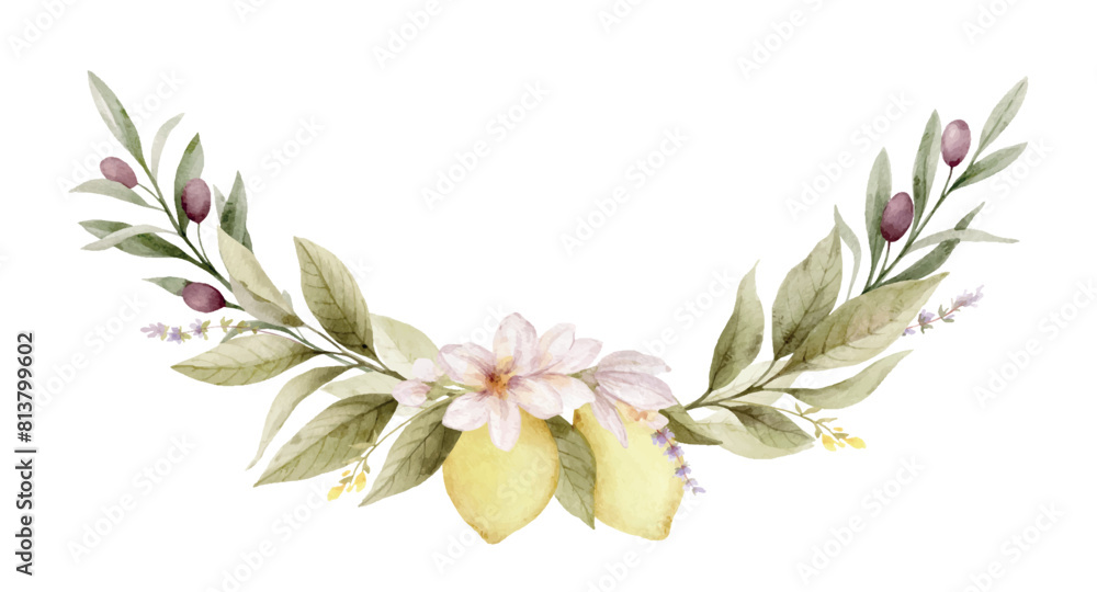 Floral wreath of lemon and olive. Watercolor vector illustration ...