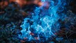 embers from a blue fire ,Fire blue flames on black background. Fire embers particles over black background. Fire sparks background.	